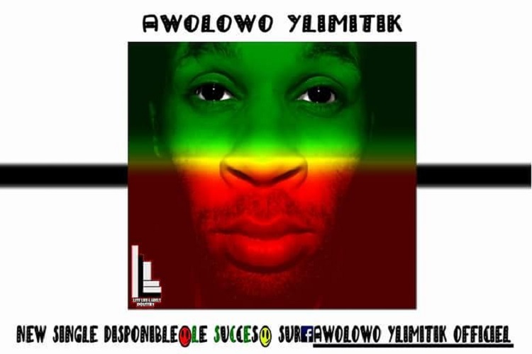Awolowo Ylimitik - Le succès
