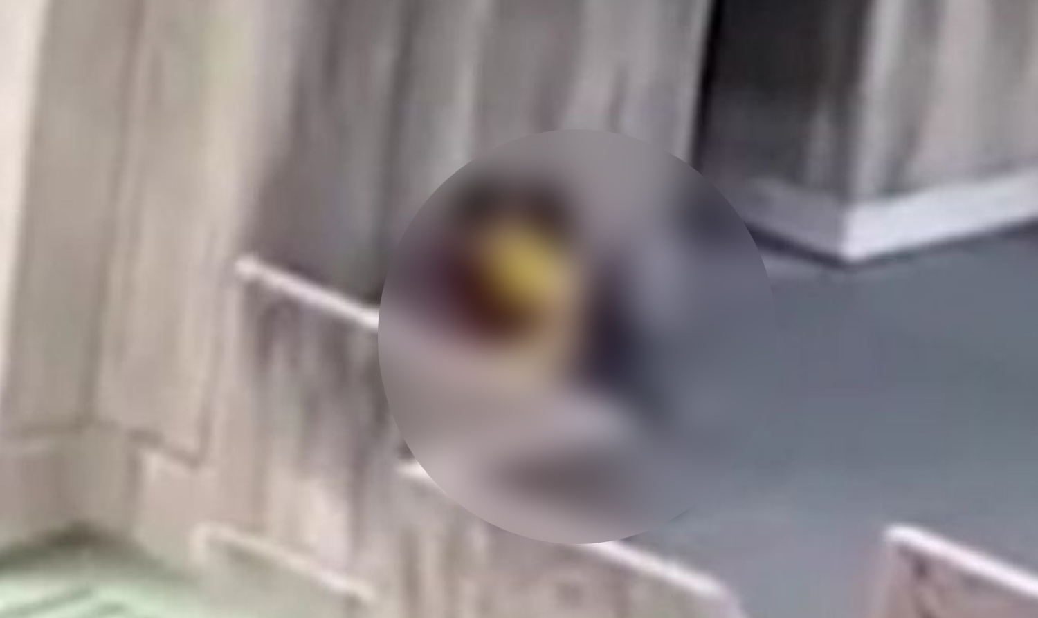 Deux étudiants s'envoient en l'air sur la terrasse de l'université : Ils ne savaient pas qu'ils étaient filmés ... (Vidéo)